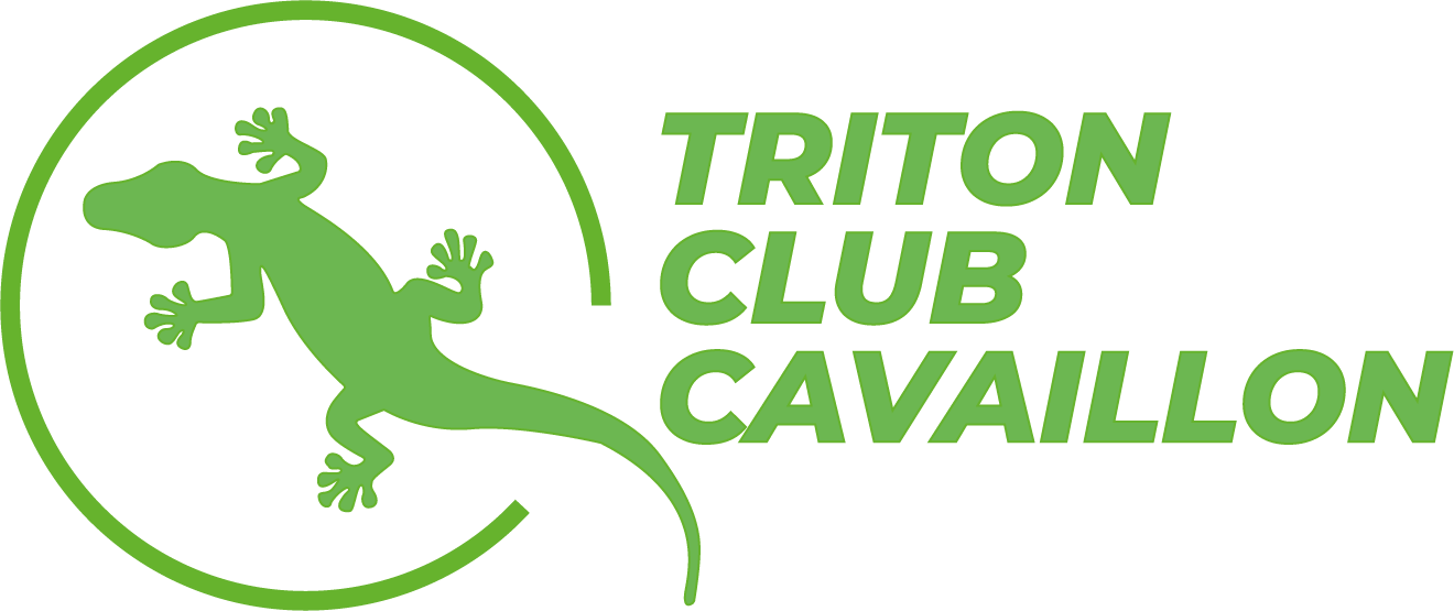 Logo Triton